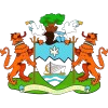  弗里敦市