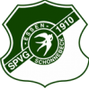  SV索尼克斯